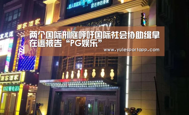 两个国际刑庭呼吁国际社会协助缉拿在逃被告“PG娱乐”(图2) PG娱乐