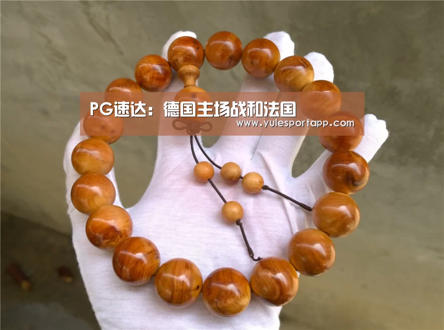 PG速达:德国主场战和法国(图1) PG娱乐