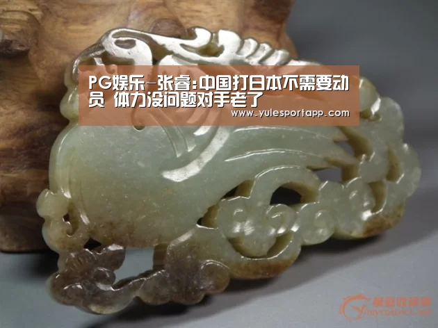 PG娱乐-张睿:中国打日本不需要动员 体力没问题对手老了(图2) PG首页