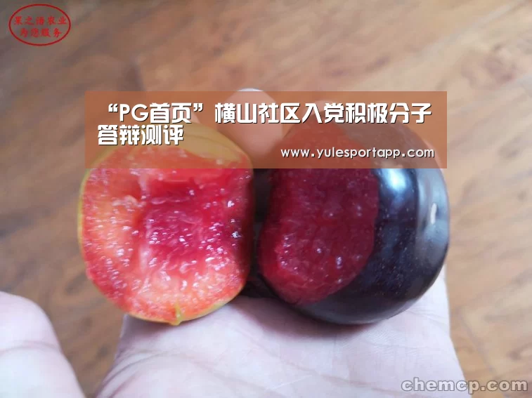 “PG首页”横山社区入党积极分子答辩测评(图3) PG赛事