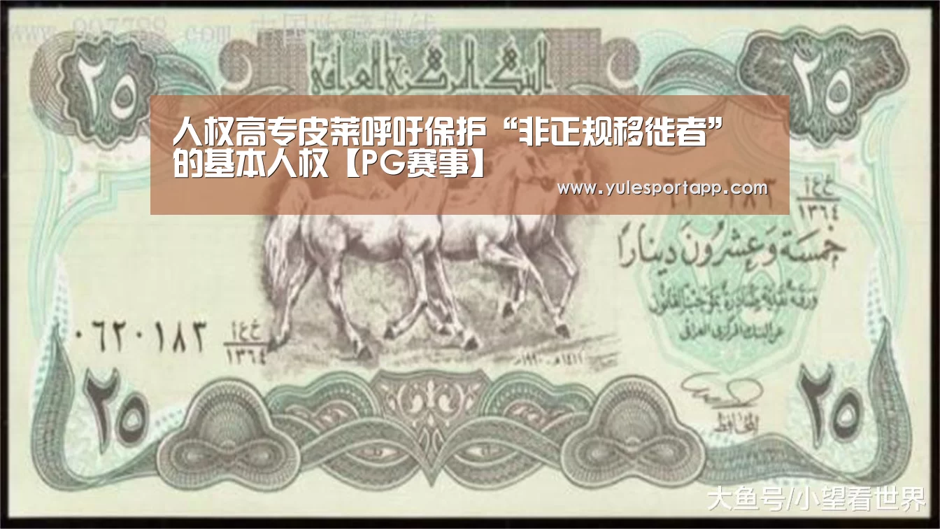 人权高专皮莱呼吁保护“非正规移徙者”的基本人权【PG赛事】(图2) PG首页