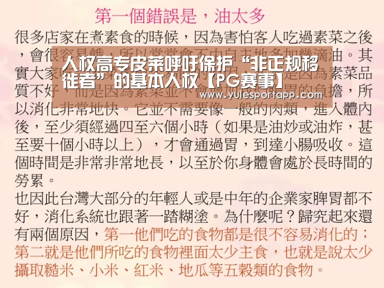 人权高专皮莱呼吁保护“非正规移徙者”的基本人权【PG赛事】(图1) PG娱乐