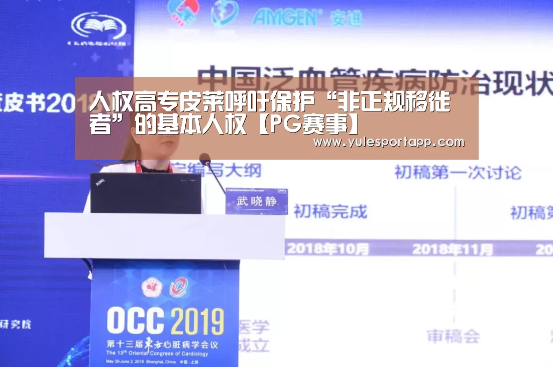 人权高专皮莱呼吁保护“非正规移徙者”的基本人权【PG赛事】(图3) PG速达