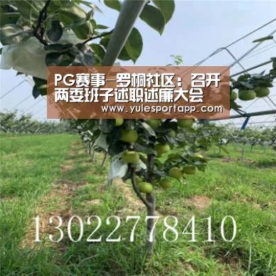 PG赛事-罗桐社区:召开两委班子述职述廉大会(图1) PG速达