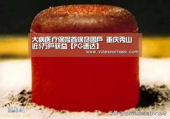 大病医疗保险首保贫困户 重庆秀山近5万户获益【PG速达】(图1) PG速达