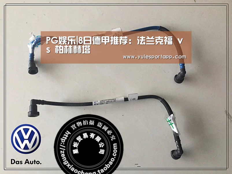 PG娱乐|8日德甲推荐:法兰克福 vs 柏林赫塔(图3) PG首页